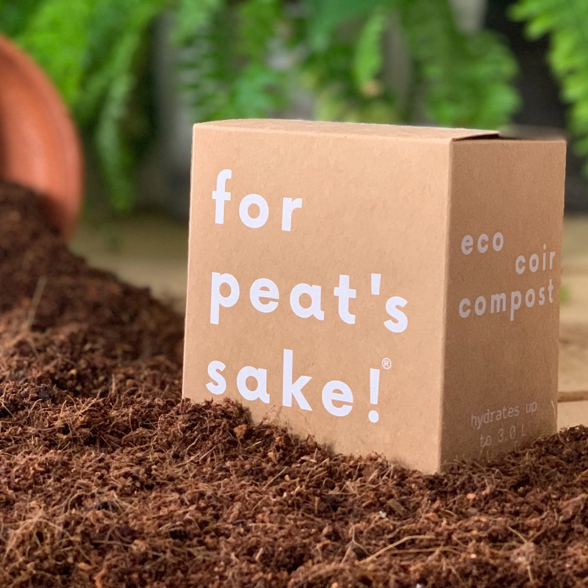 3 L Peat-free Coir Compost - Image 3