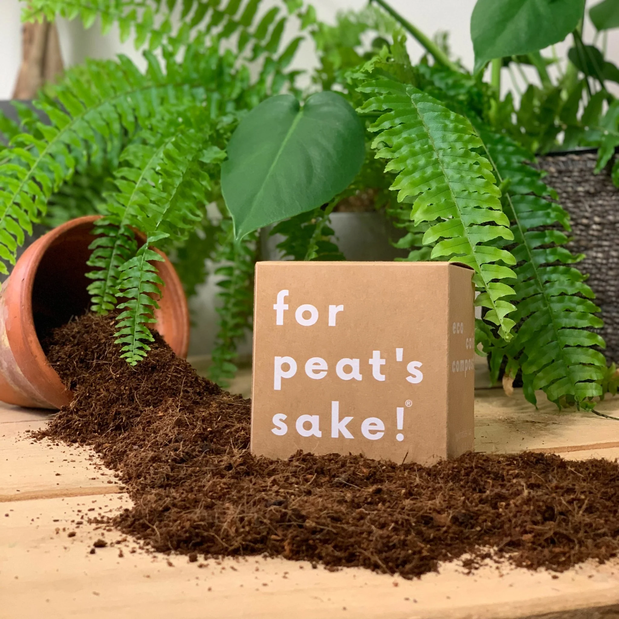 3 L Peat-free Coir Compost - Image 4