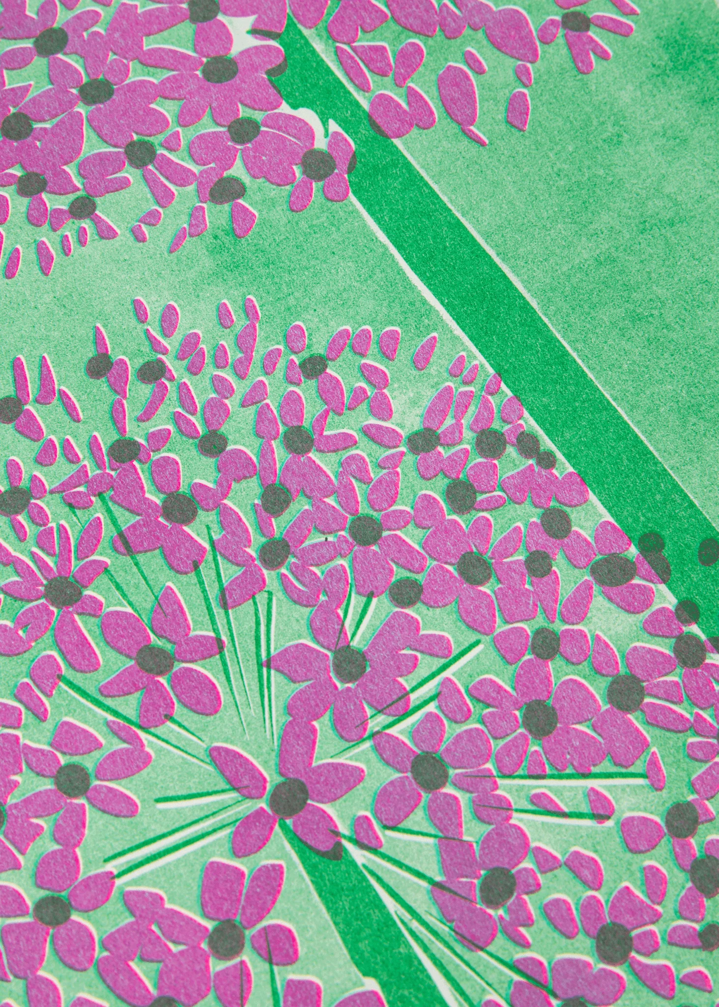 Allium Botanical Risograph Print - Image 3