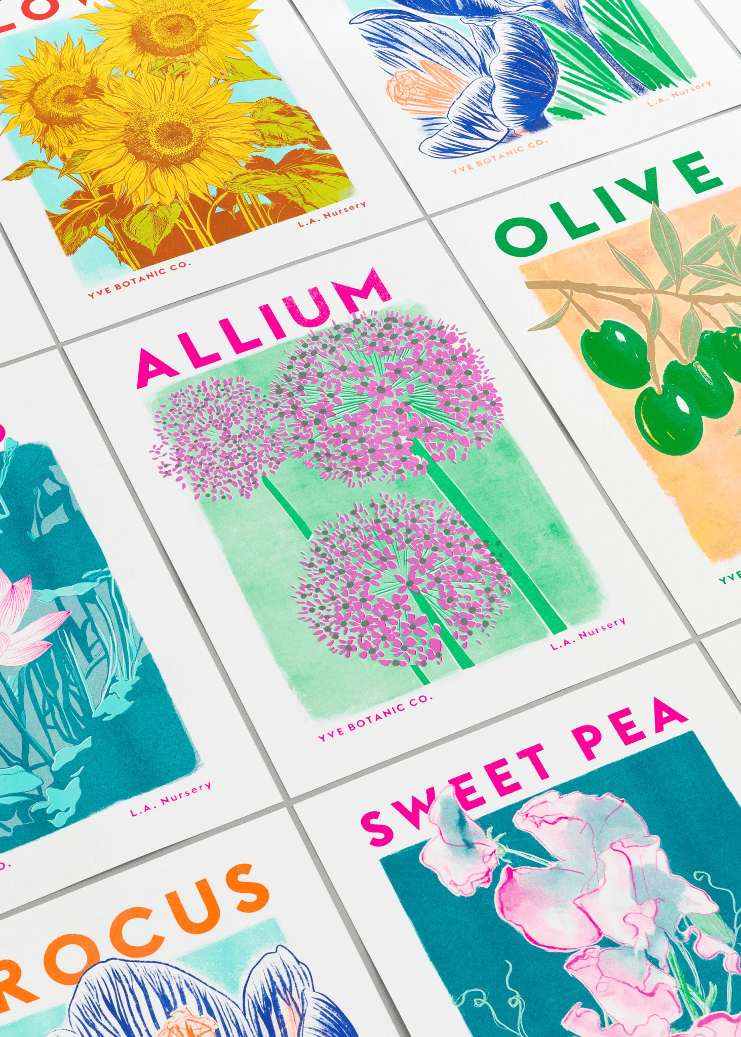 Allium Botanical Risograph Print - Image 4