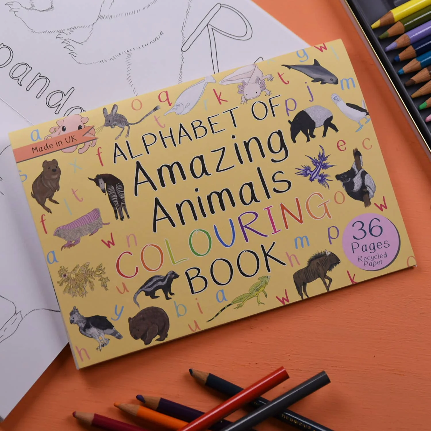 Alphabet of Amazing Animals Colouring Book - Image 4
