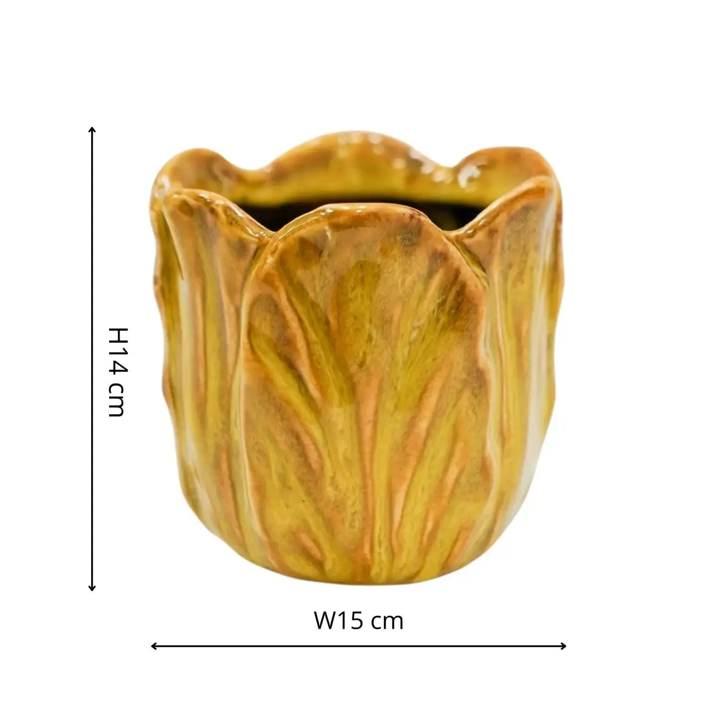 Alyssa Tulip Planter - Image 10