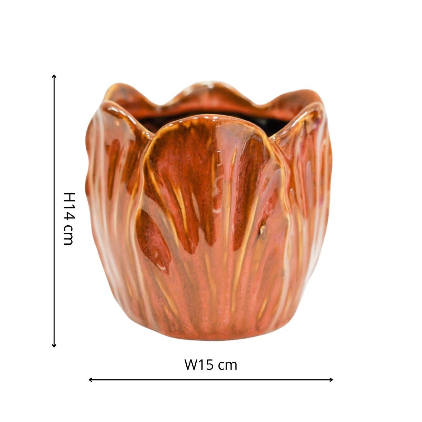 Alyssa Tulip Planter - Image 9