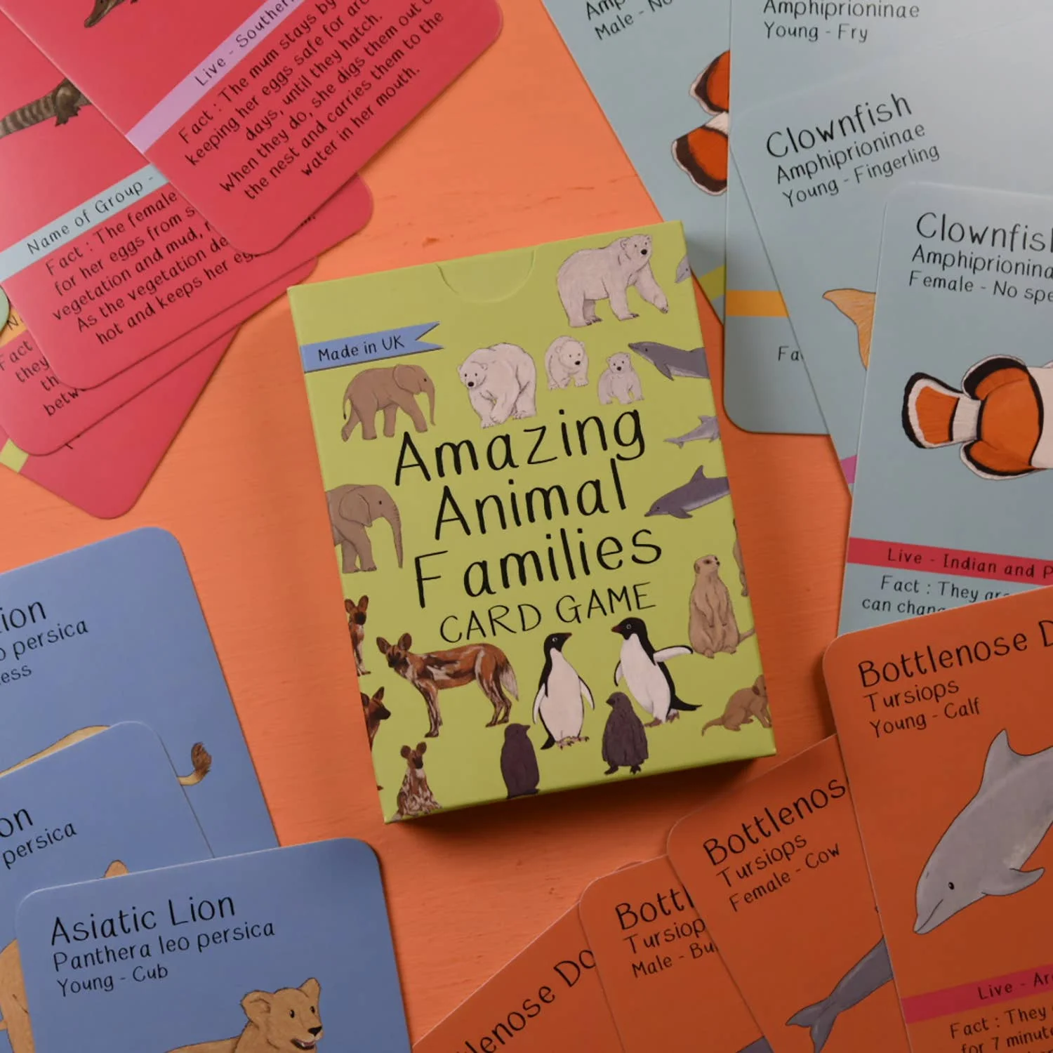 Amazing Animal Families Card Game - Image 2