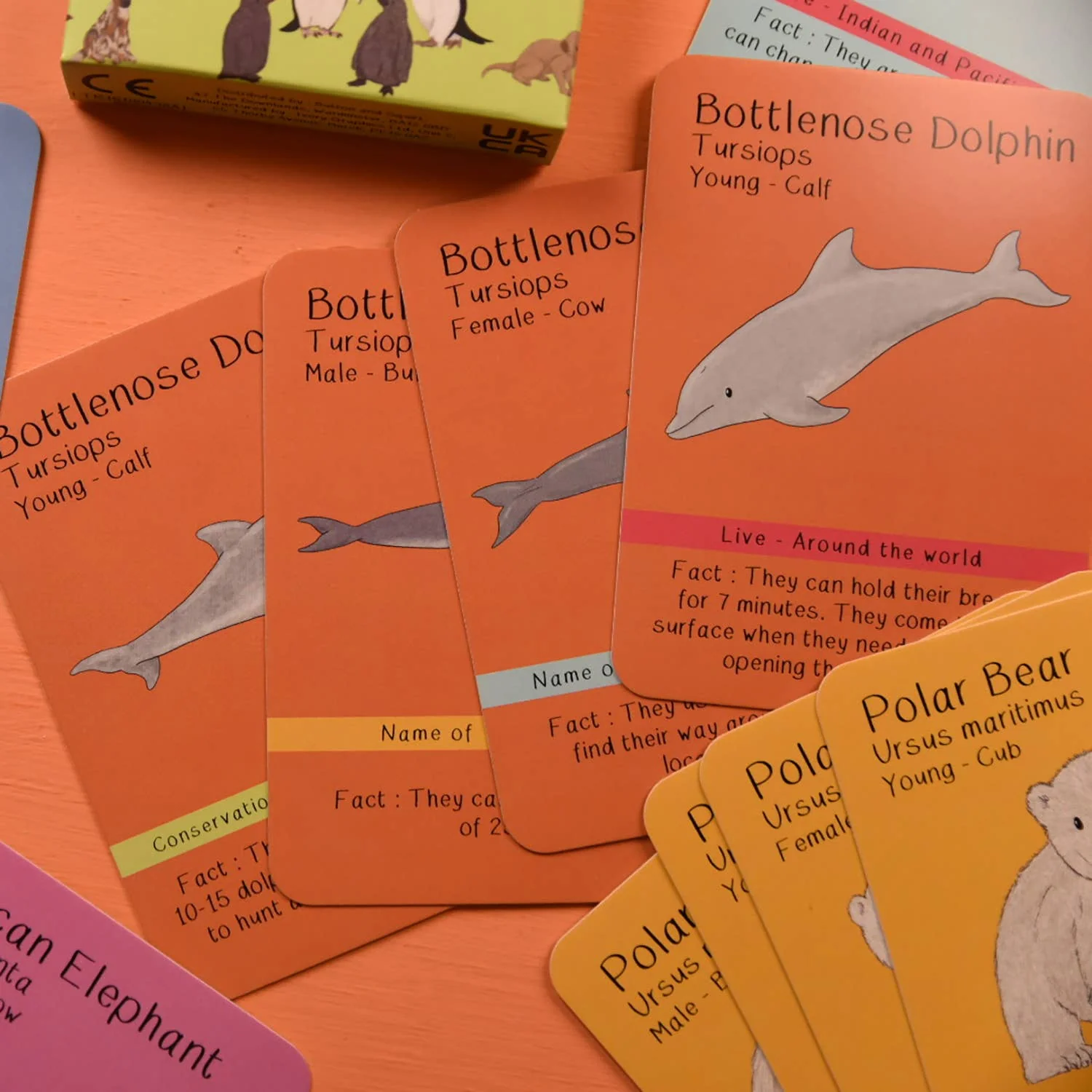 Amazing Animal Families Card Game - Image 3