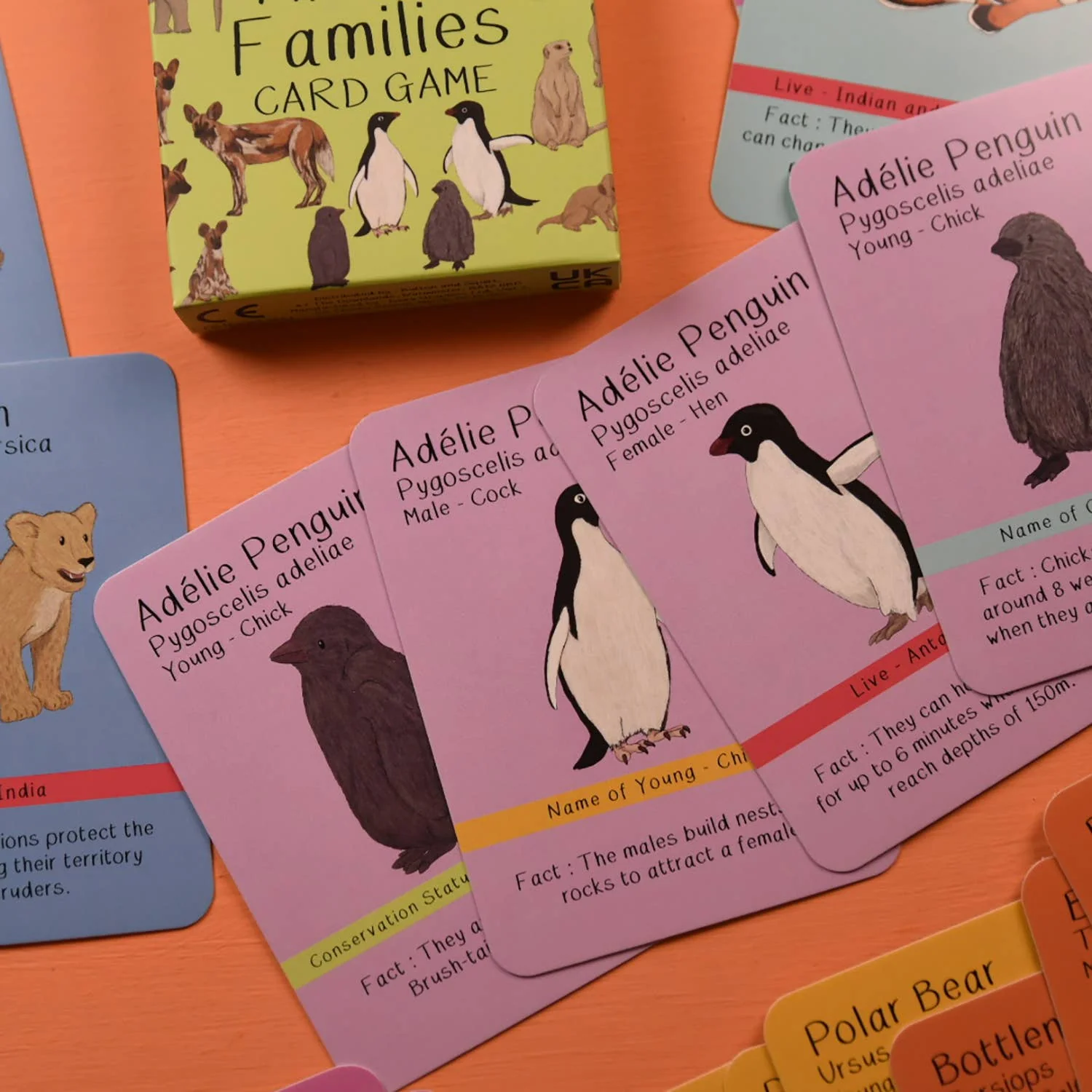 Amazing Animal Families Card Game - Image 4