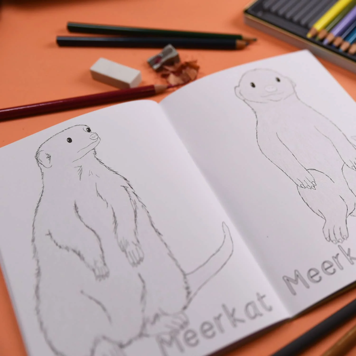 Amazing Animal Families Colouring Book - Image 3