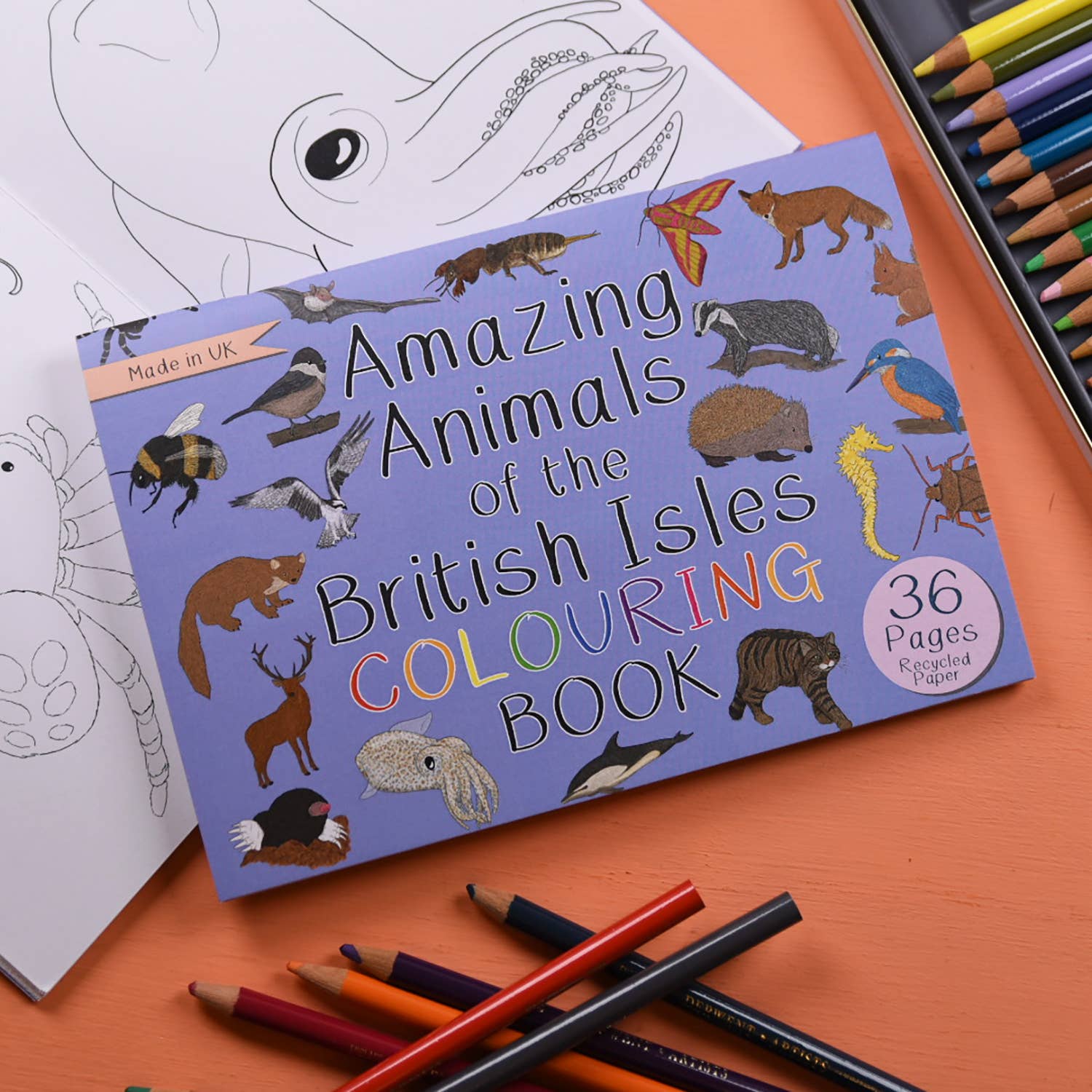 Amazing Animals of the British Isles Colouring Book - Image 2