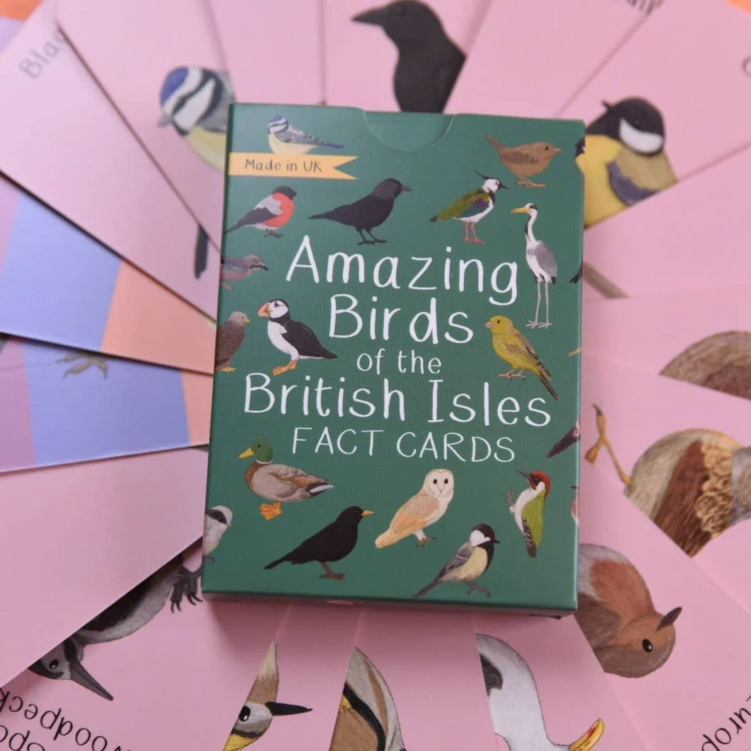 Amazing Birds of the British Isles Fact Cards