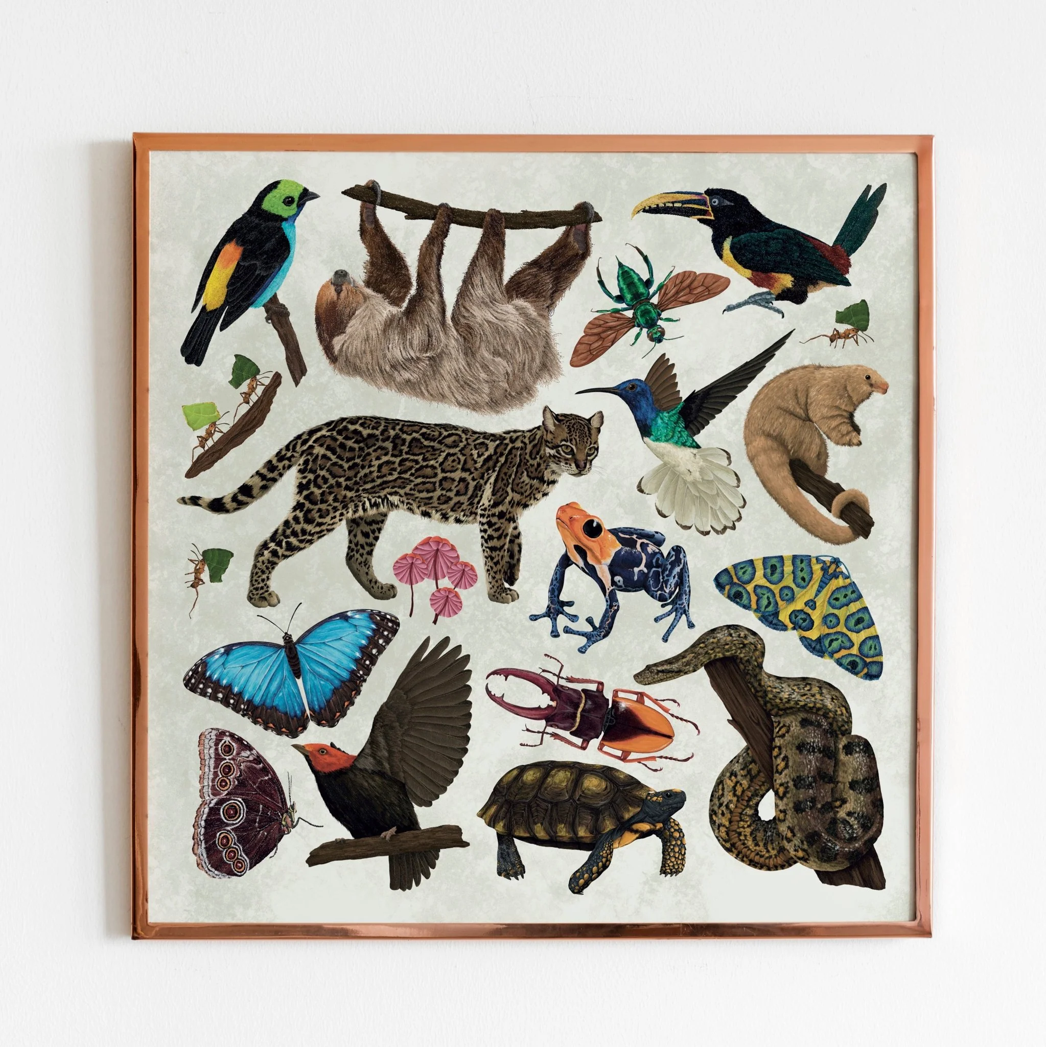 Amazon Wildlife Print [Beneath the Canopy RHS Collab] - Image 2