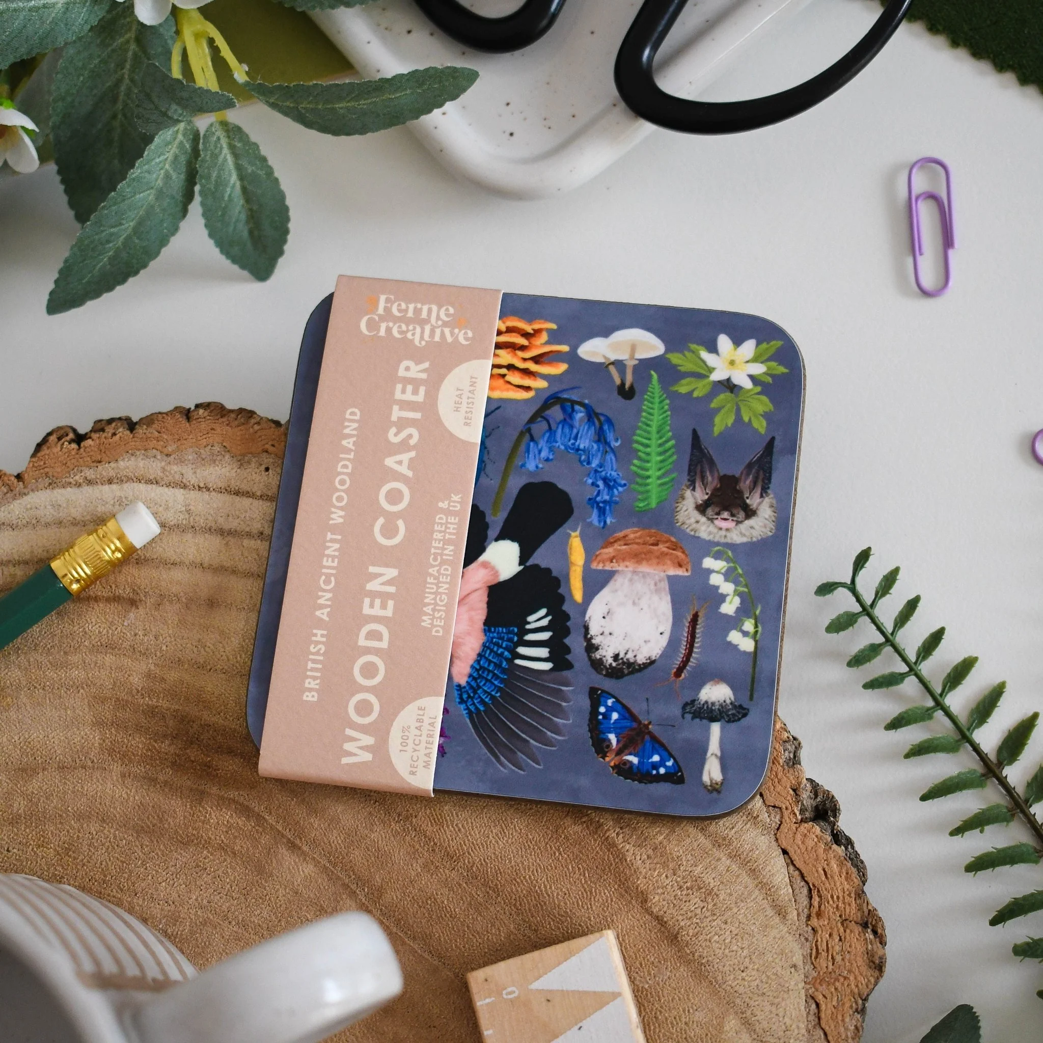 Ancient Woodland Illustrated Wildlife Coaster – Featuring Jays, Anemones & Fungi