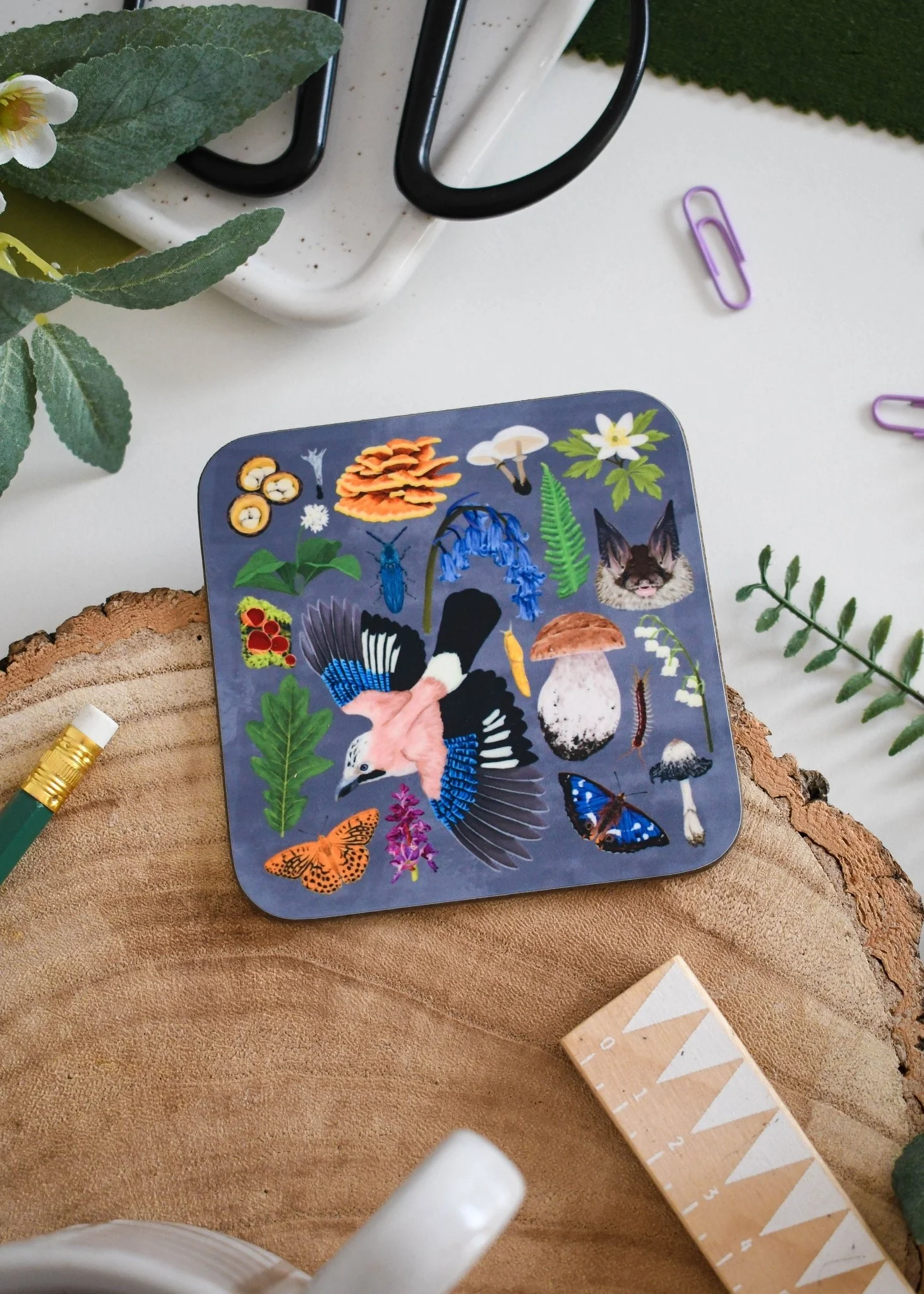 Ancient Woodland Illustrated Wildlife Coaster – Featuring Jays, Anemones & Fungi - Image 2