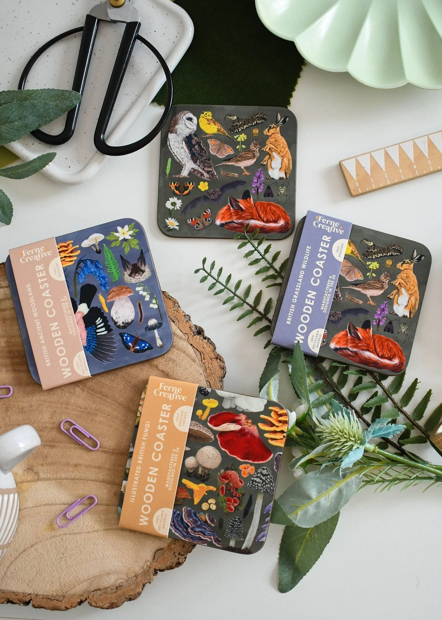 Ancient Woodland Illustrated Wildlife Coaster – Featuring Jays, Anemones & Fungi - Image 3