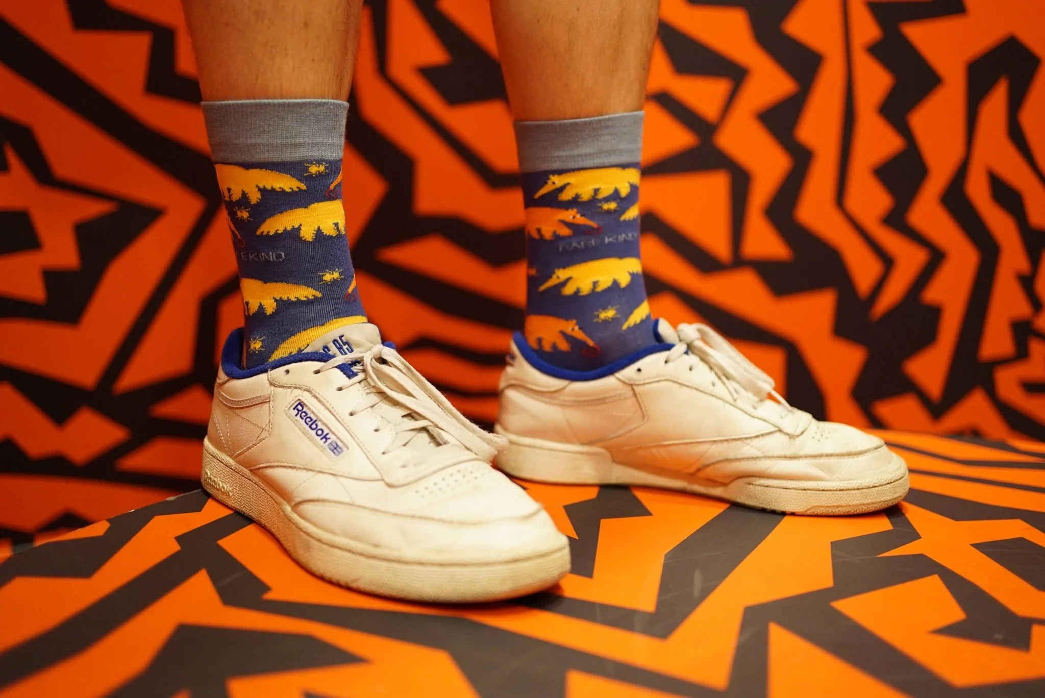 Anteater Bamboo Socks - Image 7