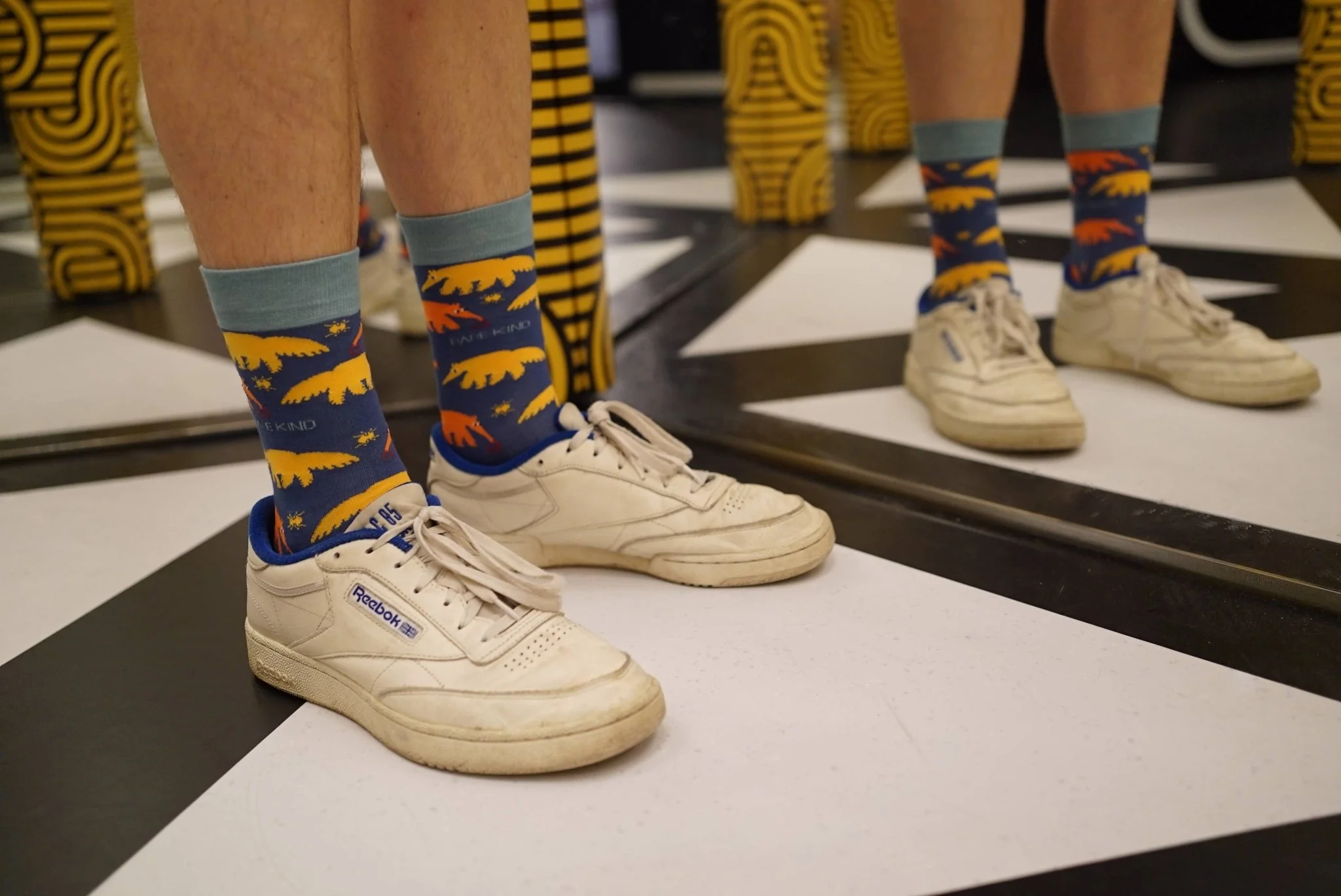 Anteater Bamboo Socks - Image 8