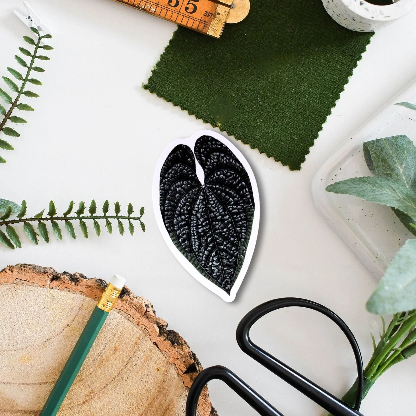 Anthurium luxurians Tropical Houseplant Vinyl Sticker [Beneath the Canopy RHS Collab]