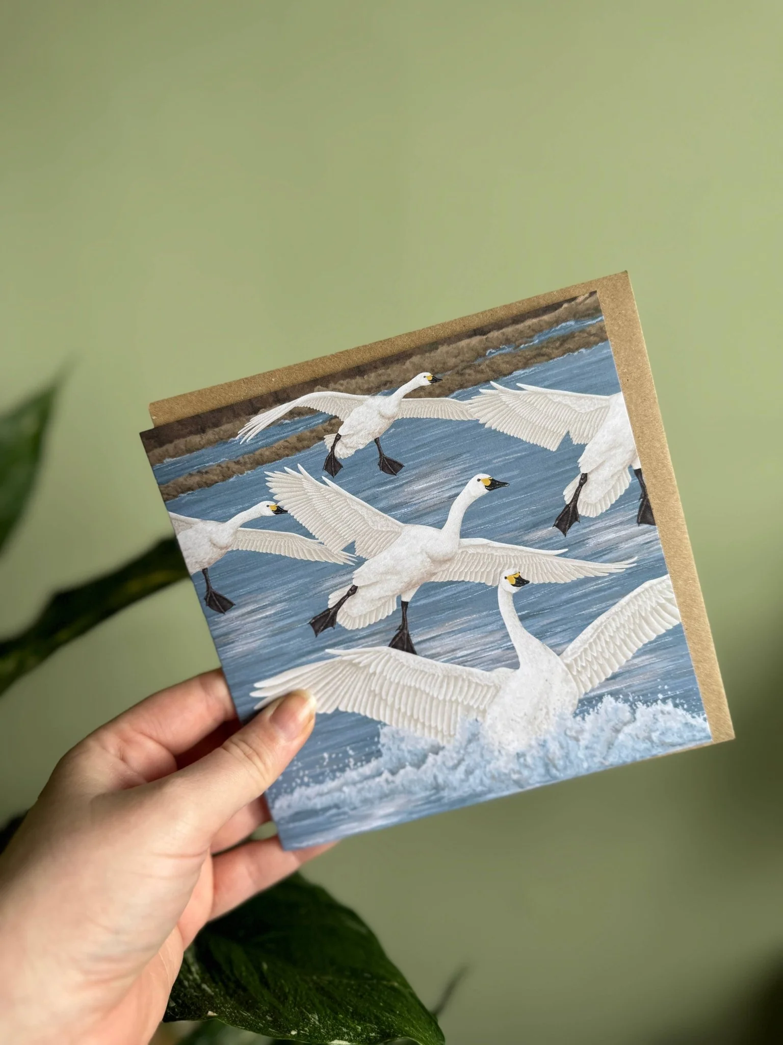 'Arrival of Bewick's Swans' Illustrated Greetings Card - Image 3