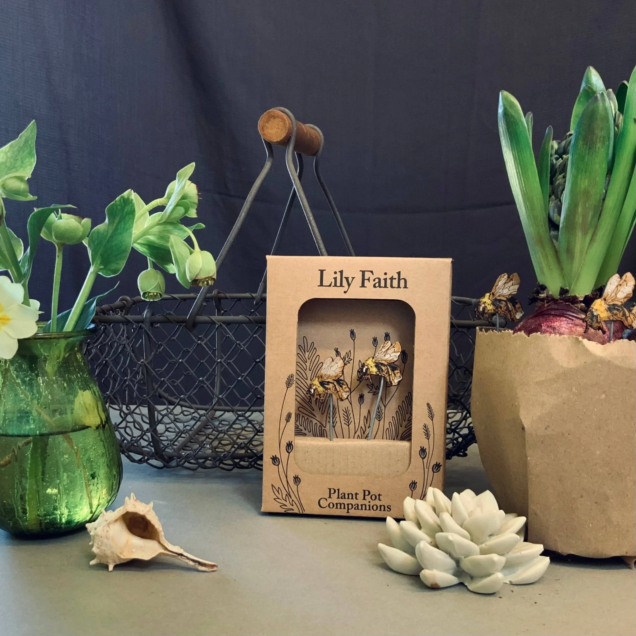 Bee Plant Pot Companions - Image 4