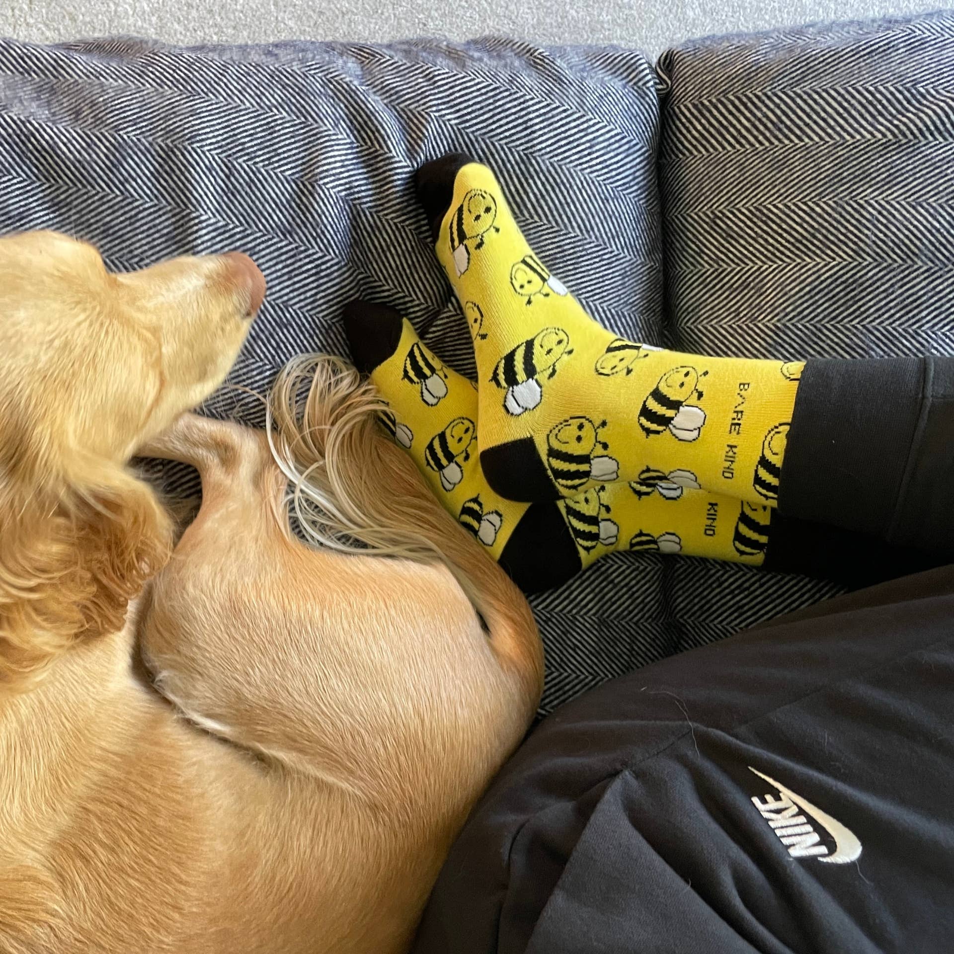 Bee Bamboo Socks - Image 8