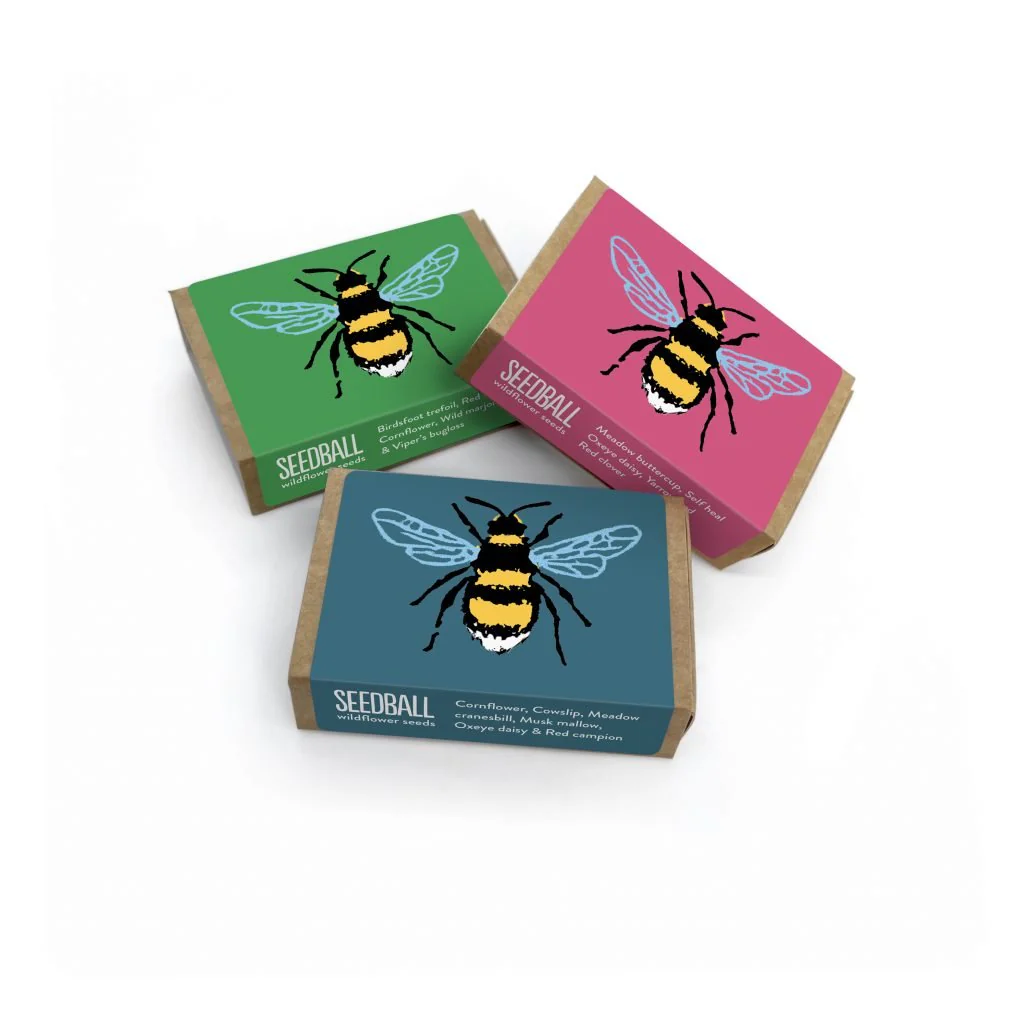 Bee Wildflower Seedball Box