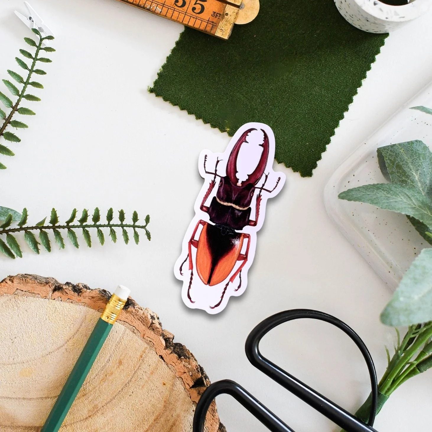 Beetle Amazon Wildlife Vinyl Sticker [Beneath the Canopy RHS Collab]