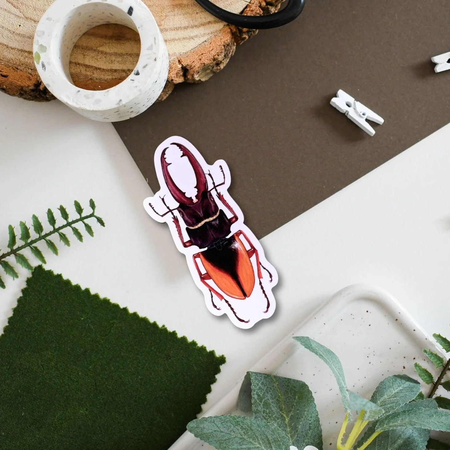 Beetle Amazon Wildlife Vinyl Sticker [Beneath the Canopy RHS Collab] - Image 2