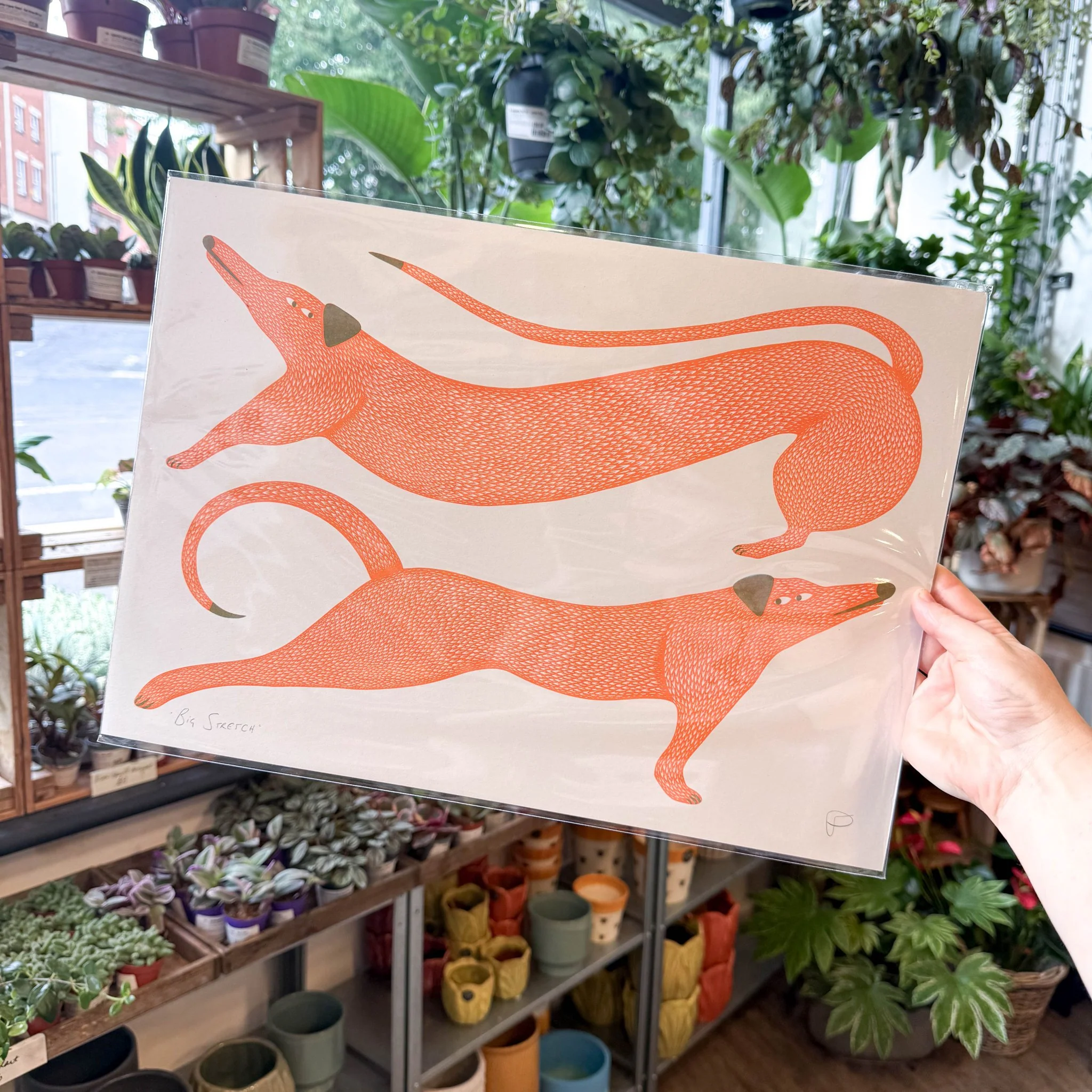 Big Stretch Dogs Riso Art Print