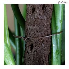 Biodegradable Plant Wire by Kratiste - 100% Natural, Plastic Free