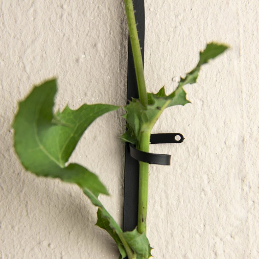 Black Support for Climbing Plants - Image 4