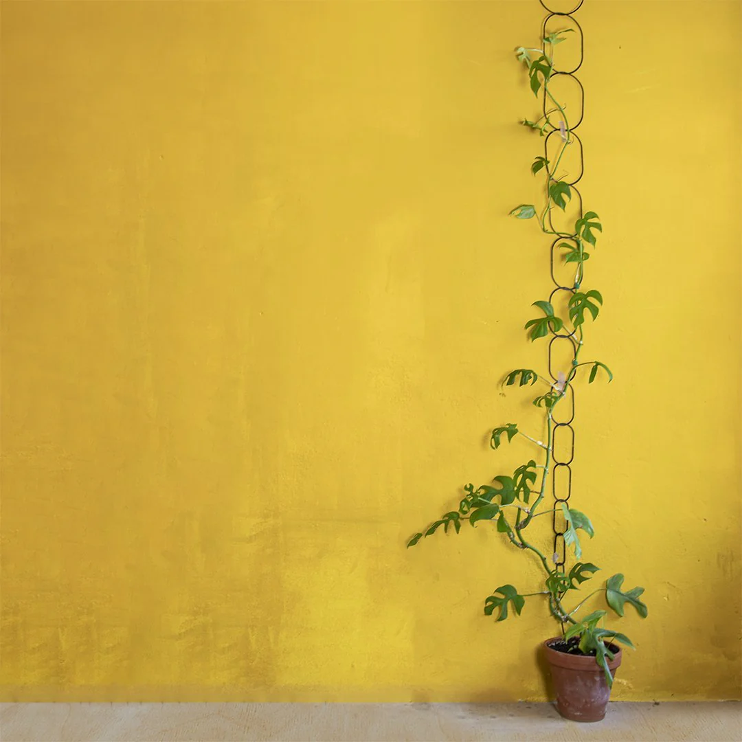 Black Support for Climbing Plants - Image 6