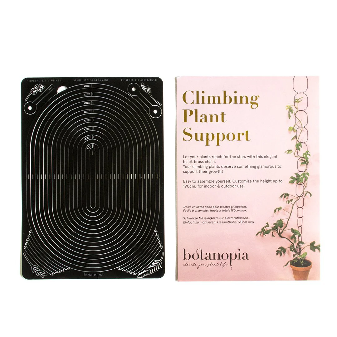 Black Support for Climbing Plants - Image 8