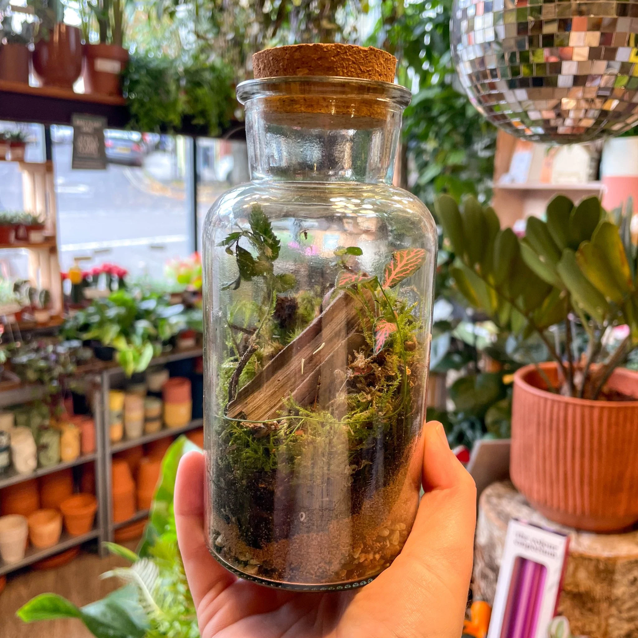 Glass Bottle - Bioactive Terrarium - Image 3