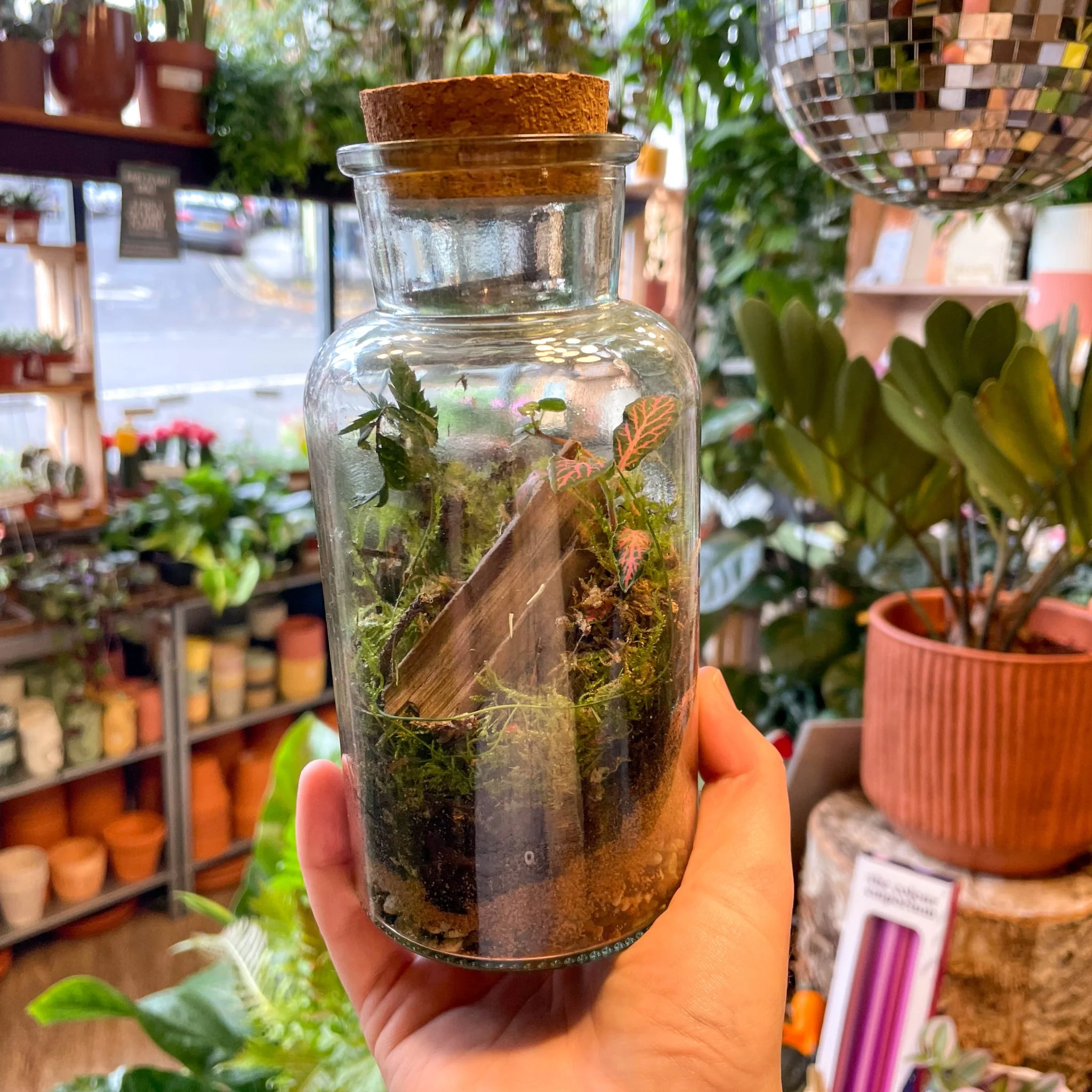 Glass Bottle - Bioactive Terrarium - Image 4