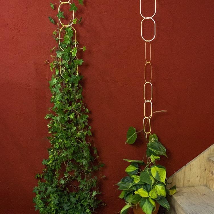 Brass Support for Climbing Plants - Image 3