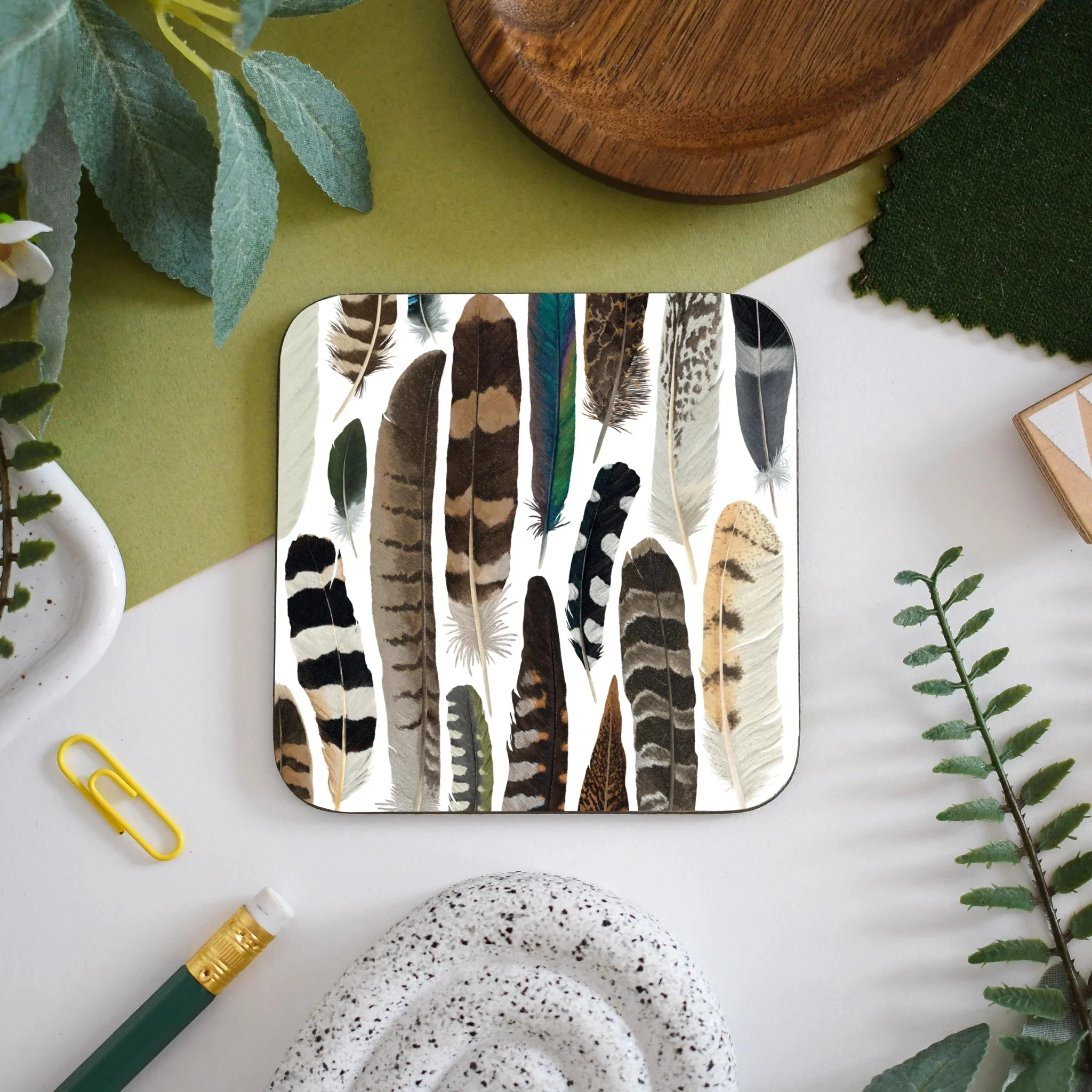 British Bird Feathers Illustrated Coaster – Featuring Magpie, Barn Owl & Buzzard