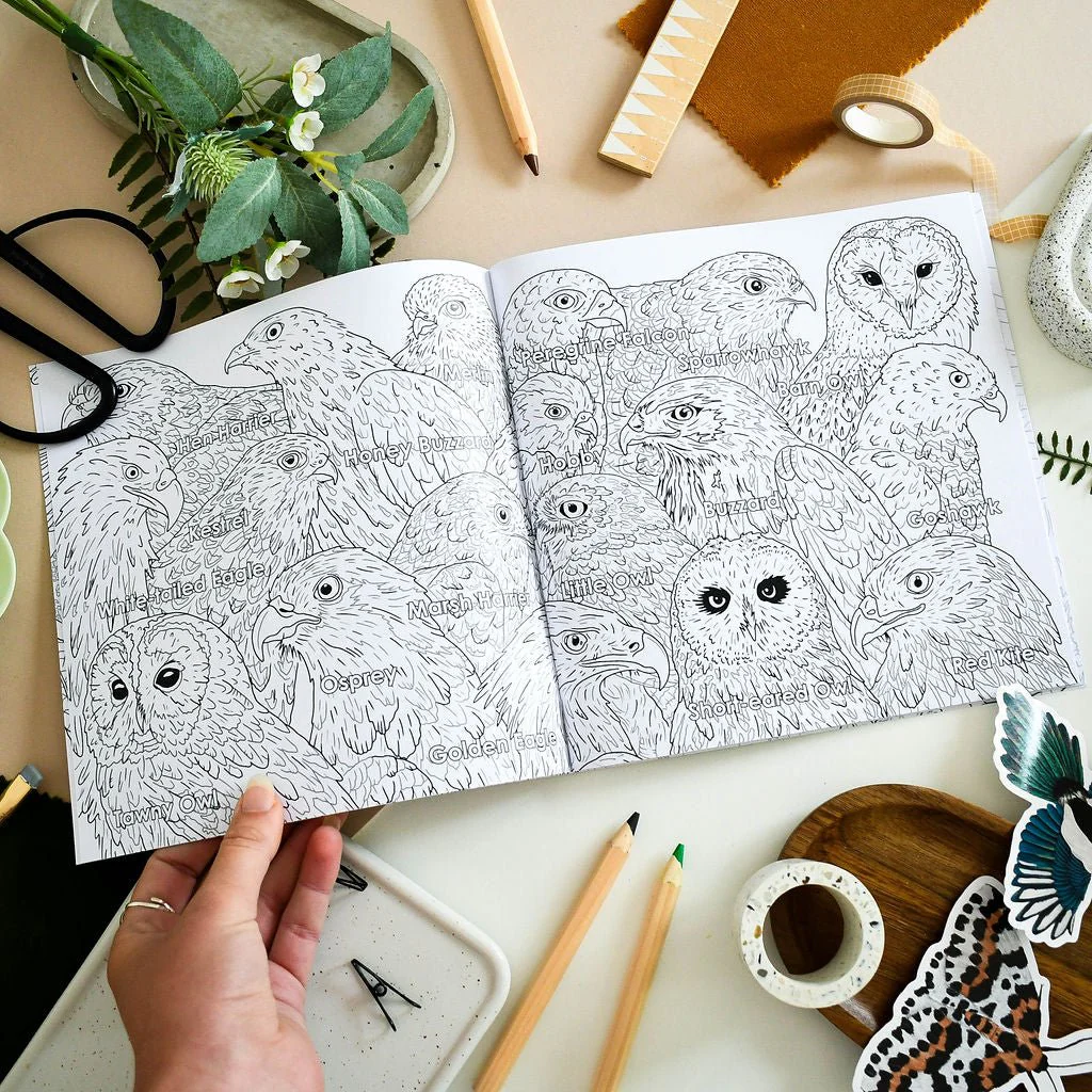 British Bird of Prey Educational Colouring Book - Image 4