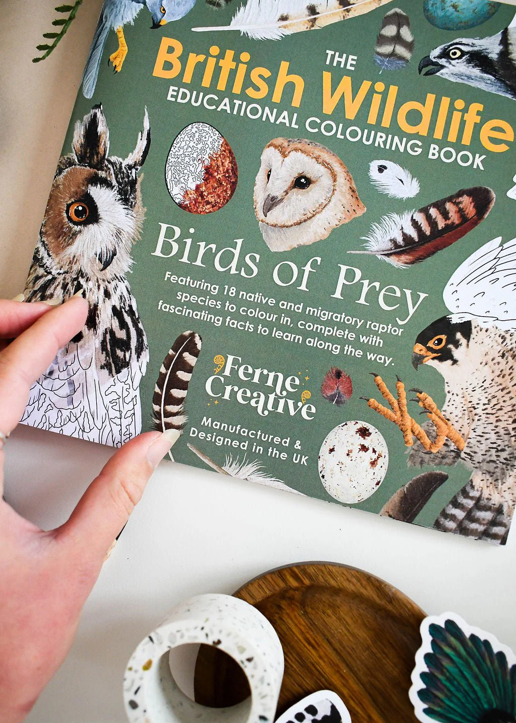 British Bird of Prey Educational Colouring Book - Image 7