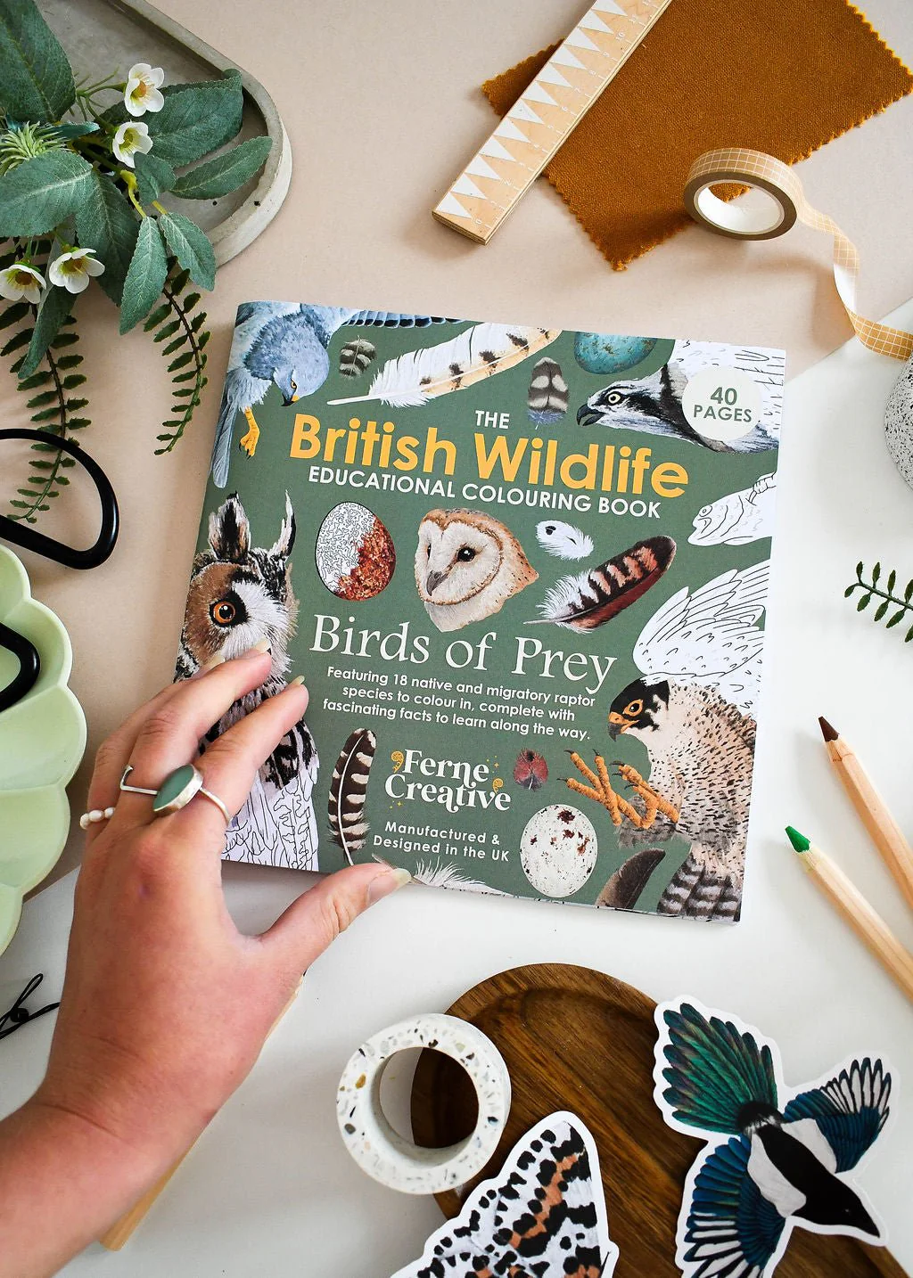 British Bird of Prey Educational Colouring Book - Image 9