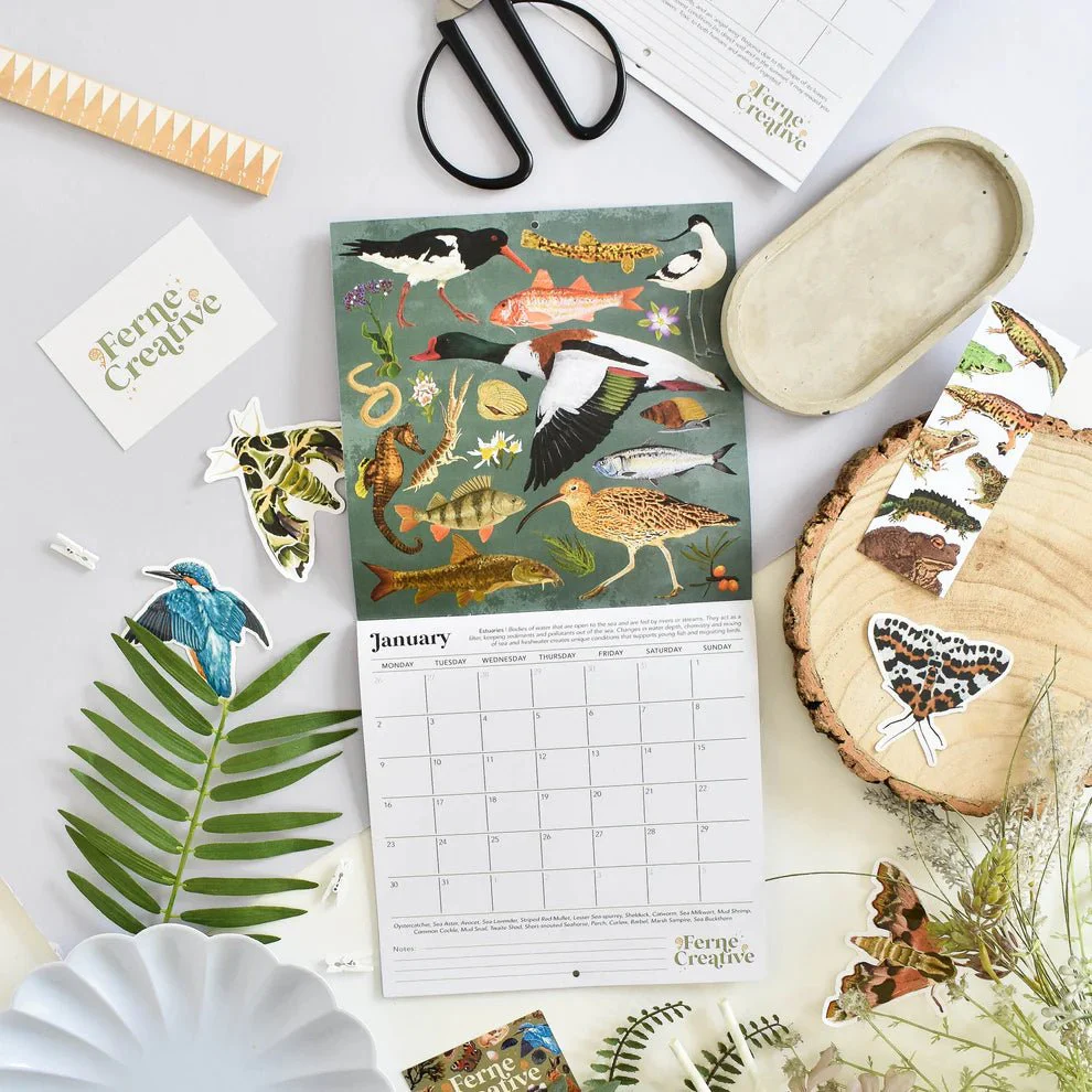 British Wildlife Habitats Calendar 2026 – Illustrated Nature Calendar - Image 3
