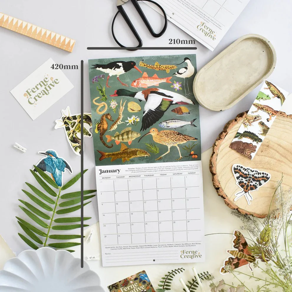 British Wildlife Habitats Calendar 2026 – Illustrated Nature Calendar - Image 5