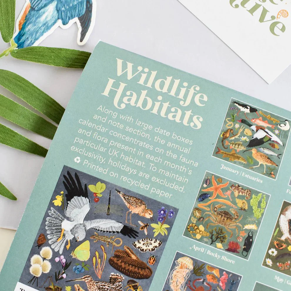 British Wildlife Habitats Calendar 2026 – Illustrated Nature Calendar - Image 6