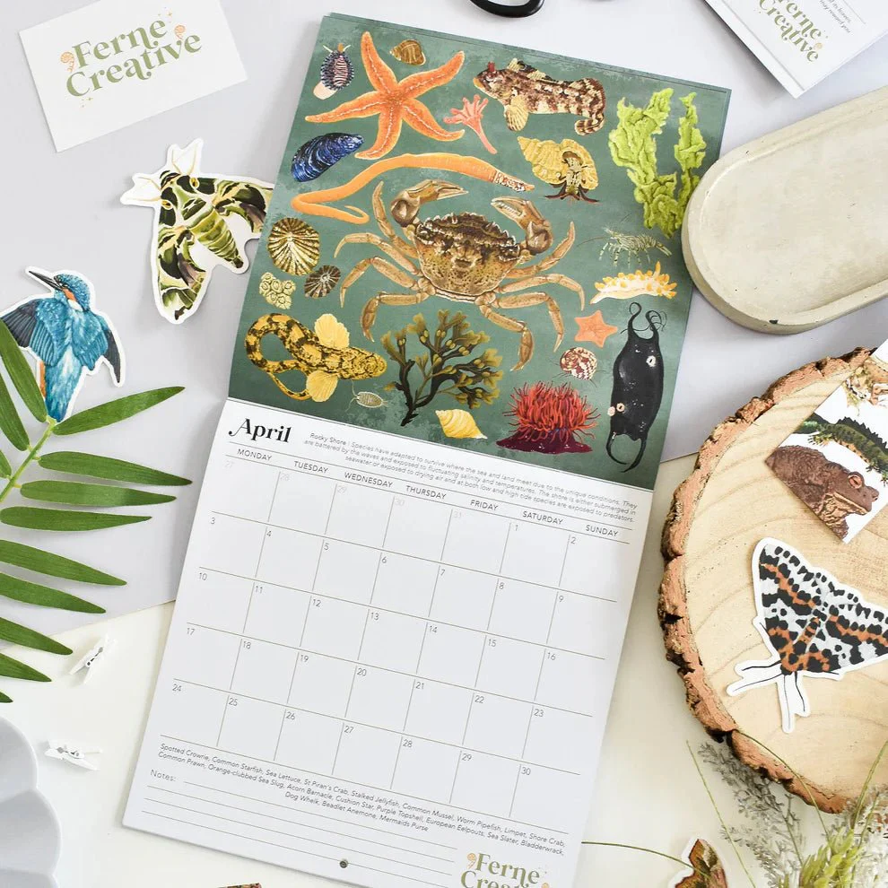 British Wildlife Habitats Calendar 2026 – Illustrated Nature Calendar - Image 7