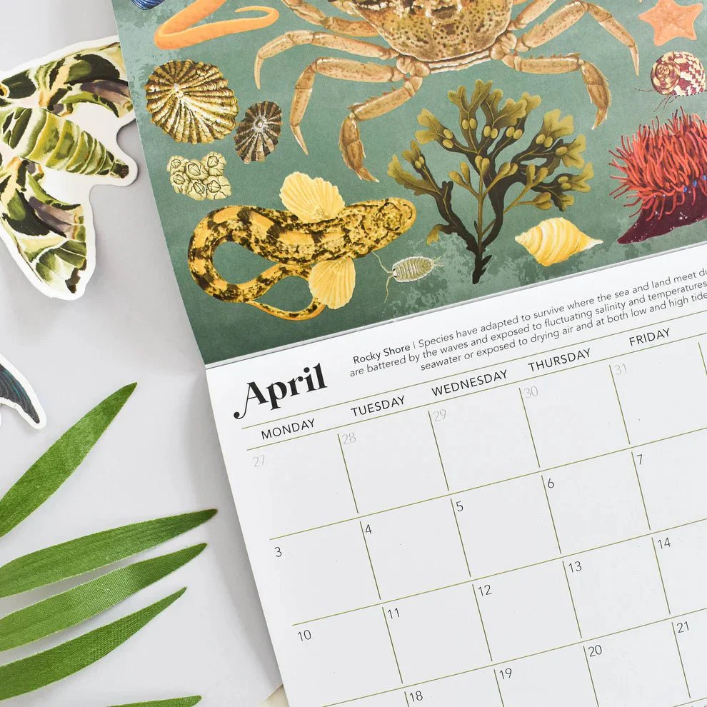 British Wildlife Habitats Calendar 2026 – Illustrated Nature Calendar - Image 8
