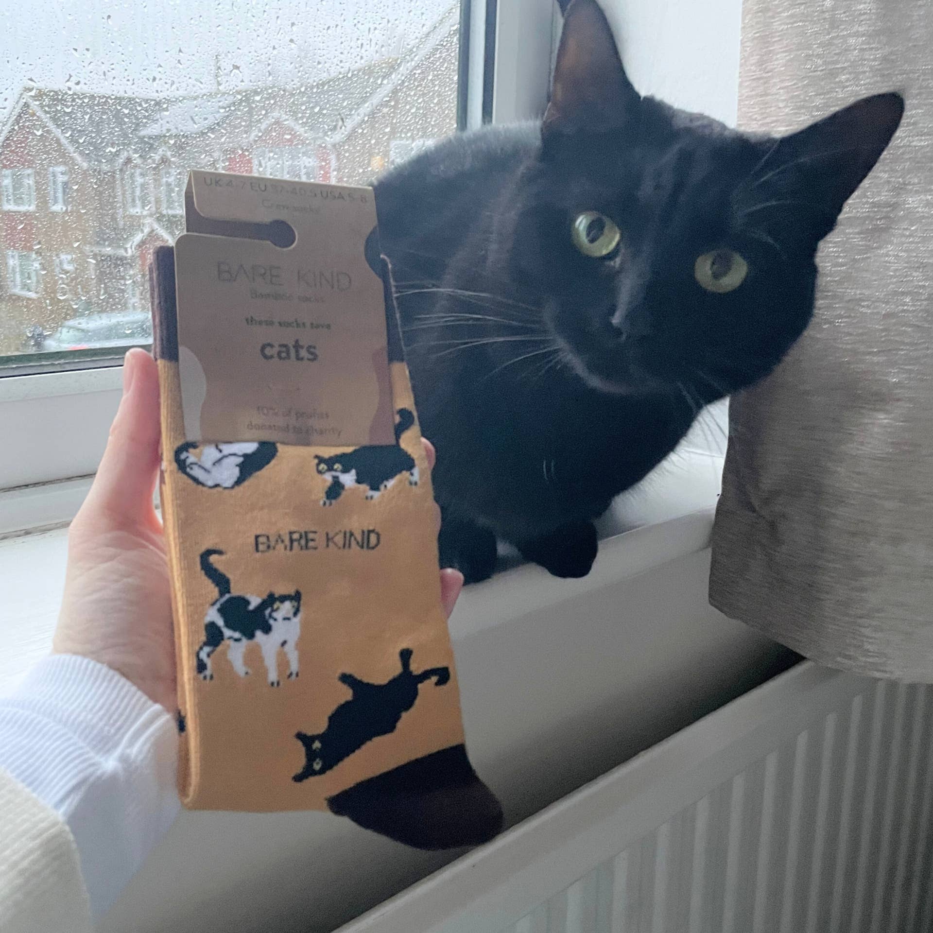 Brown Cats Bamboo Socks - Image 9