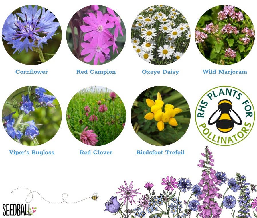 Great Yellow Bumblebee Wildflower Tin - Image 10