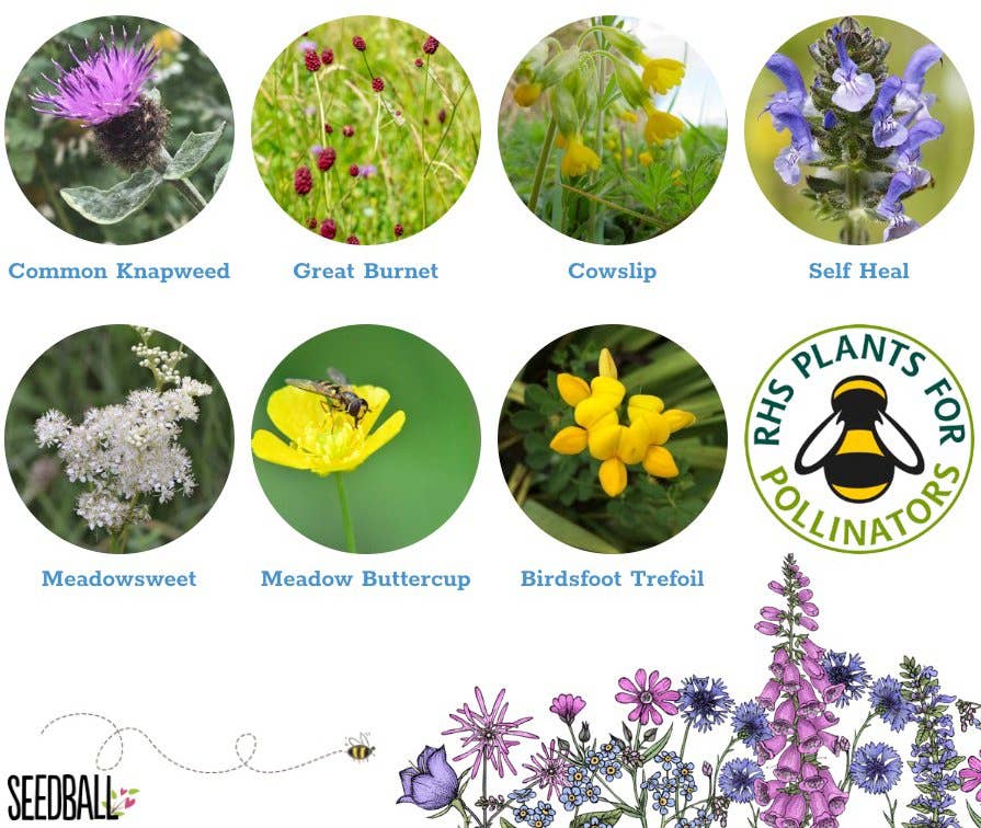 Great Yellow Bumblebee Wildflower Tin - Image 11