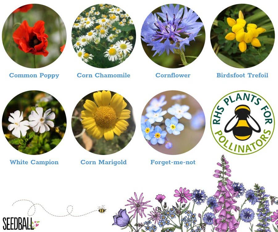 Great Yellow Bumblebee Wildflower Tin - Image 9