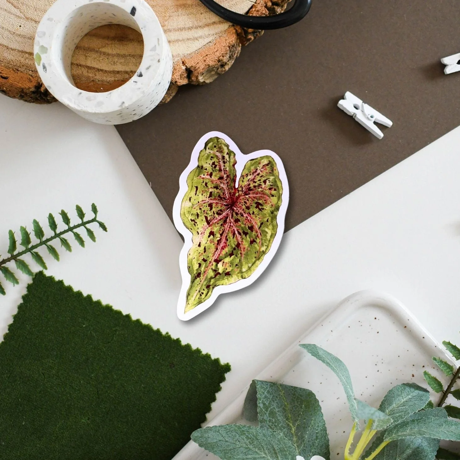 Caladium ‘Miss Muffet’ Tropical Houseplant Vinyl Sticker [Beneath the Canopy RHS Collab]