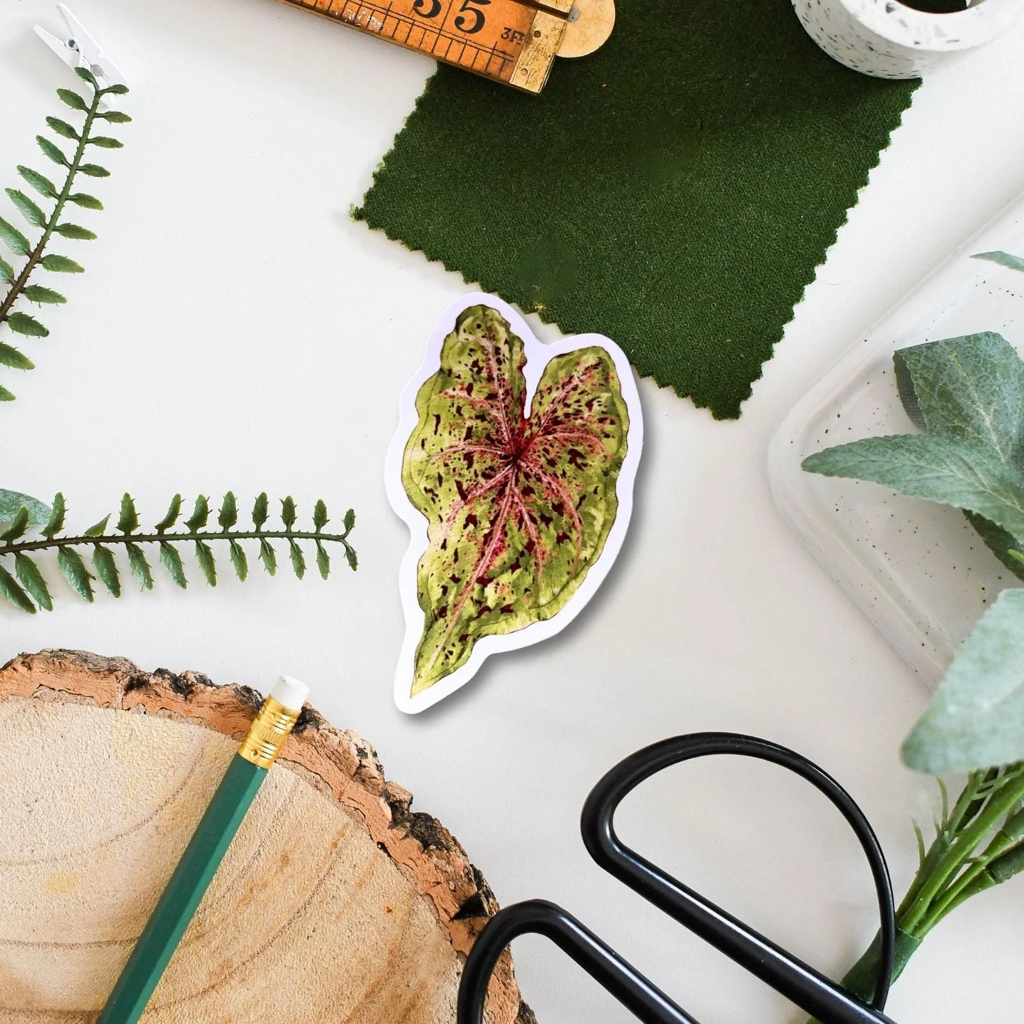 Caladium ‘Miss Muffet’ Tropical Houseplant Vinyl Sticker [Beneath the Canopy RHS Collab] - Image 2