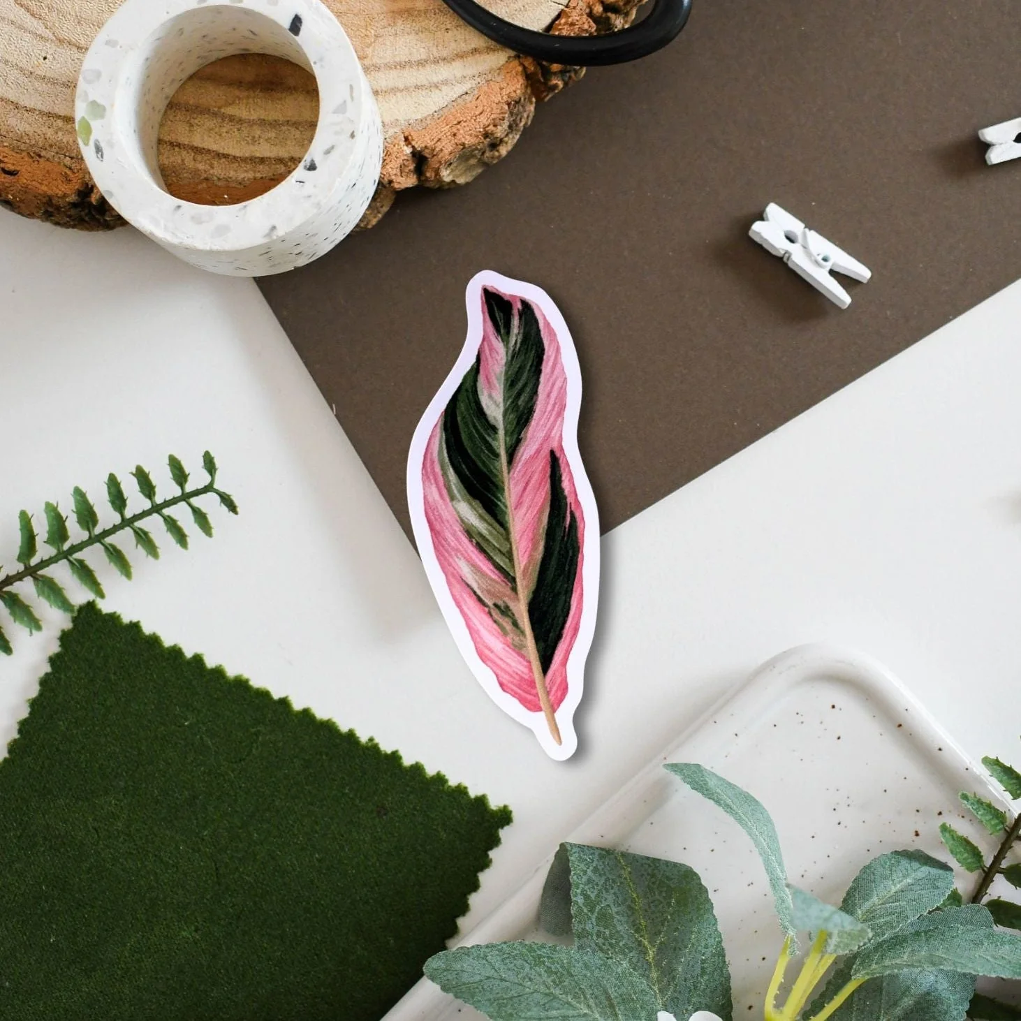 Calathea ‘Triostar’ Tropical Houseplant Vinyl Sticker [Beneath the Canopy RHS Collab]